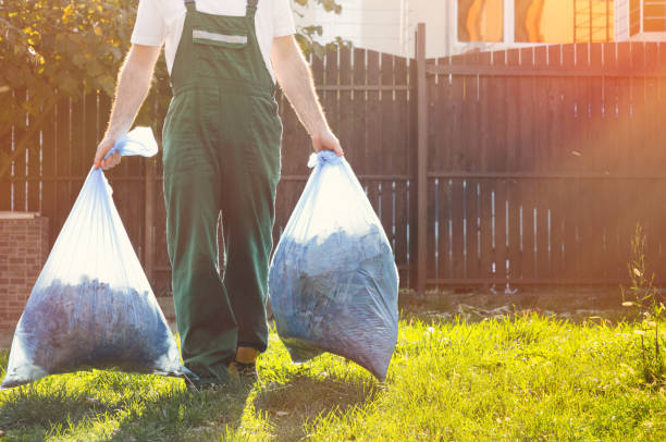 Best Dumpster Rental Services  in Randolph, NE